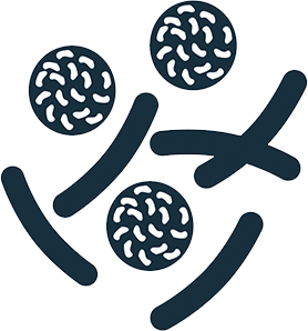 Recombinant Proteins