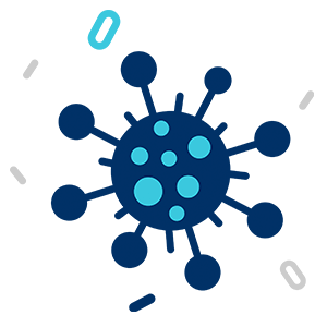 CAR Lentiviral Plasmids